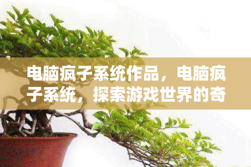 电脑疯子系统作品，电脑疯子系统，探索游戏世界的奇妙之旅