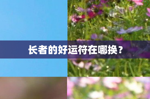 长者的好运符在哪换？