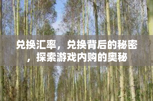 兑换汇率，兑换背后的秘密，探索游戏内购的奥秘