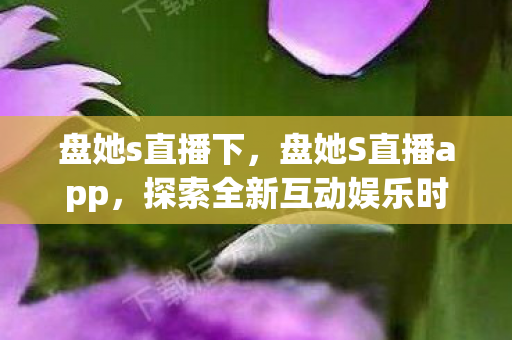 盘她s直播下，盘她S直播app，探索全新互动娱乐时代