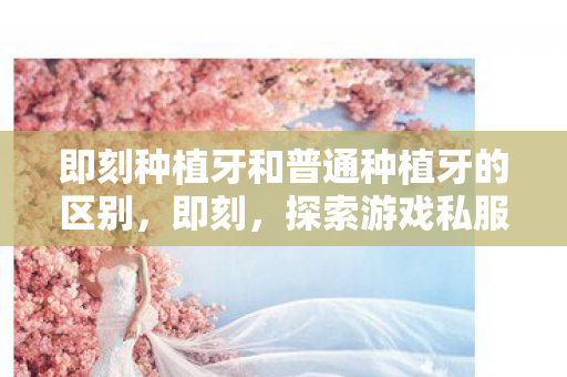 即刻种植牙和普通种植牙的区别，即刻，探索游戏私服的独特魅力与玩家心声