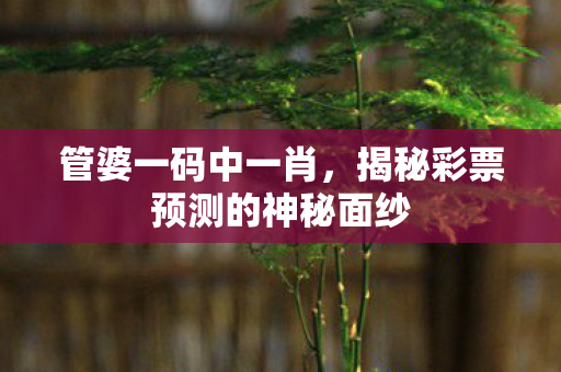 管婆一码中一肖，揭秘彩票预测的神秘面纱