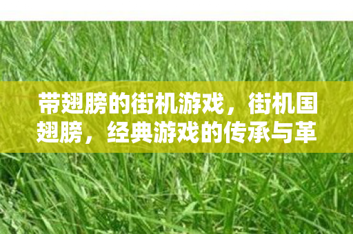带翅膀的街机游戏,街机国翅膀,经典游戏的传承与革新 带翅膀的街机游戏,街机国翅膀,经典游戏的传承与革新