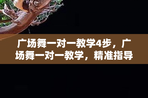 广场舞一对一教学4步，广场舞一对一教学，精准指导，舞出风采
