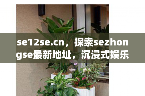 se12se.cn，探索sezhongse最新地址，沉浸式娱乐新体验