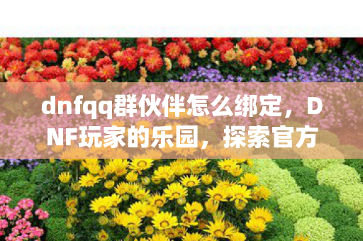 dnfqq群伙伴怎么绑定，DNF玩家的乐园，探索官方QQ群的无尽魅力