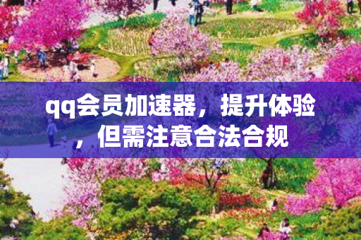 qq会员加速器，提升体验，但需注意合法合规