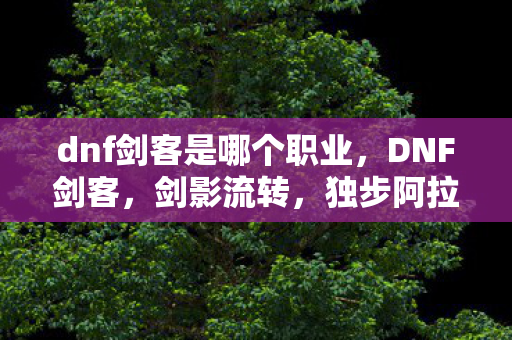 dnf剑客是哪个职业，DNF剑客，剑影流转，独步阿拉德大陆