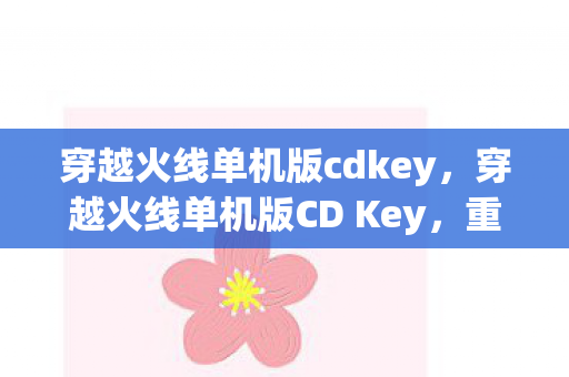 穿越火线单机版cdkey，穿越火线单机版CD Key，重温经典，无需联网的射击盛宴
