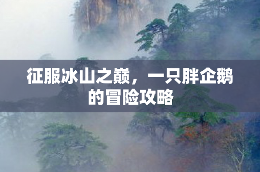 征服冰山之巅，一只胖企鹅的冒险攻略
