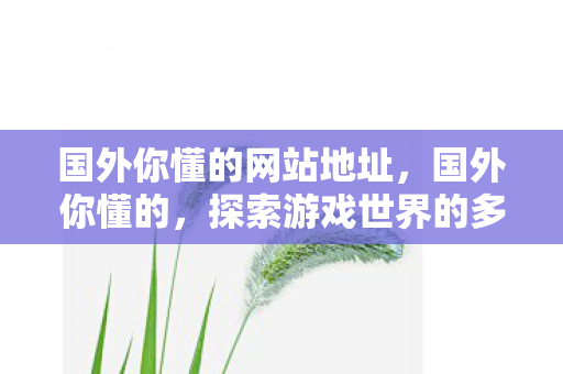 国外你懂的网站地址，国外你懂的，探索游戏世界的多元体验