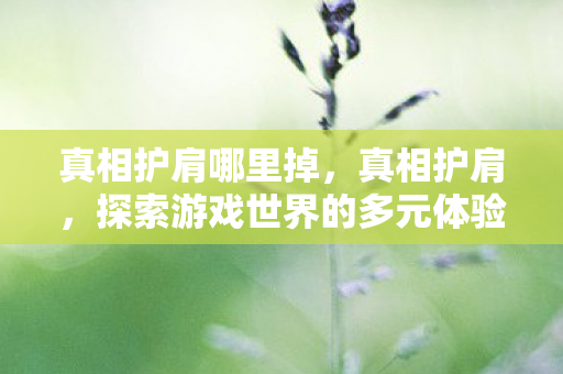 真相护肩哪里掉，真相护肩，探索游戏世界的多元体验与官方服务的独特价值