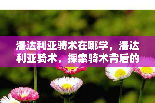 潘达利亚骑术在哪学，潘达利亚骑术，探索骑术背后的奇幻世界