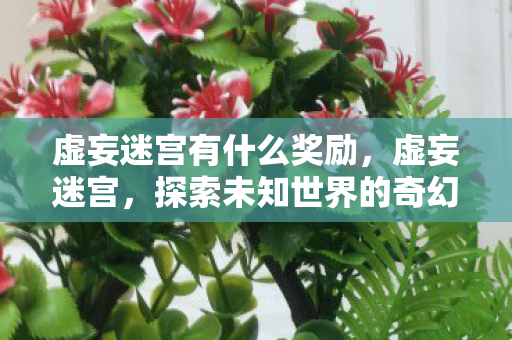 虚妄迷宫有什么奖励，虚妄迷宫，探索未知世界的奇幻之旅