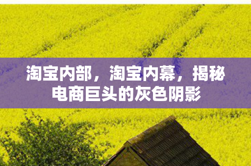 淘宝内部，淘宝内幕，揭秘电商巨头的灰色阴影