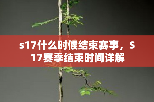 s17什么时候结束赛事，S17赛季结束时间详解