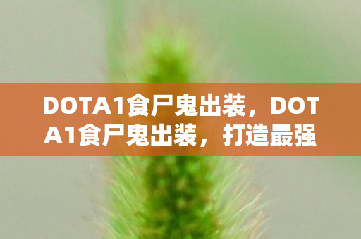 DOTA1食尸鬼出装，DOTA1食尸鬼出装，打造最强生存能力