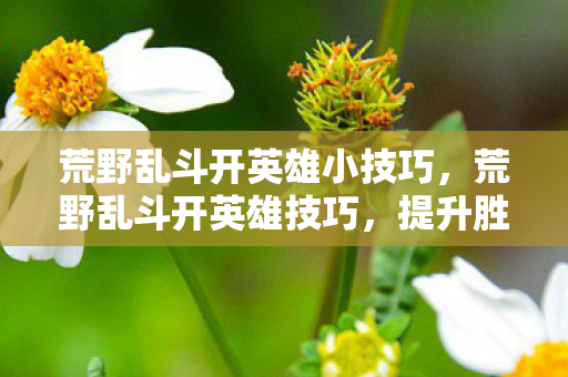 荒野乱斗开英雄小技巧，荒野乱斗开英雄技巧，提升胜率的策略与技巧