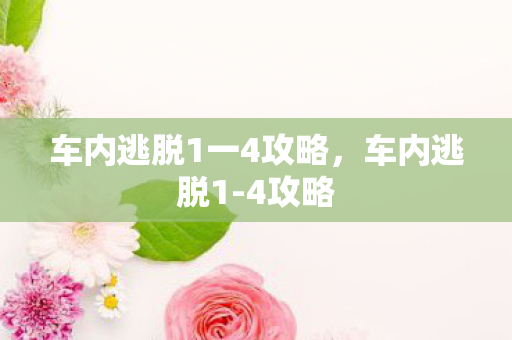车内逃脱1一4攻略，车内逃脱1-4攻略