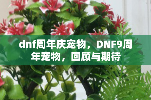 dnf周年庆宠物,DNF9周年宠物,回顾与期待 dnf周年庆宠物,DNF9周年宠物,回顾与期待