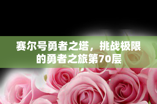 赛尔号勇者之塔，挑战极限的勇者之旅第70层
