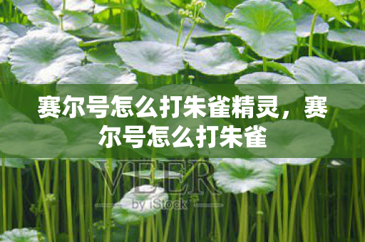 赛尔号怎么打朱雀精灵，赛尔号怎么打朱雀