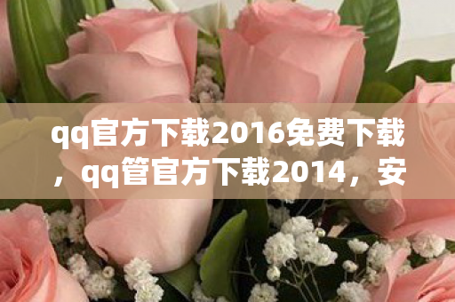 qq官方下载2016免费下载，qq管官方下载2014，安全、高效、便捷的体验