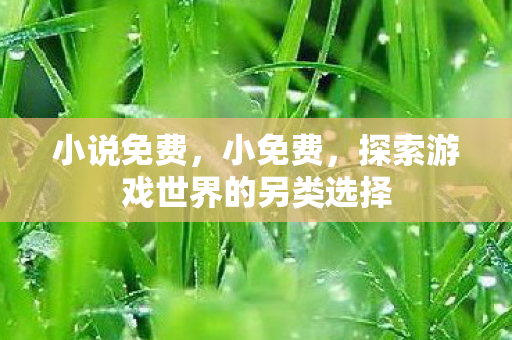 小说免费，小免费，探索游戏世界的另类选择