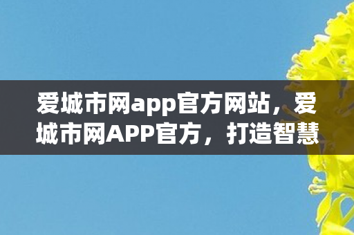 爱城市网app官方网站，爱城市网APP官方，打造智慧生活新体验
