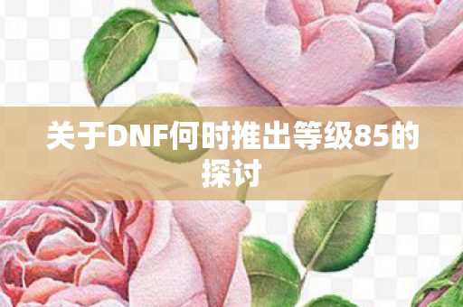 关于DNF何时推出等级85的探讨