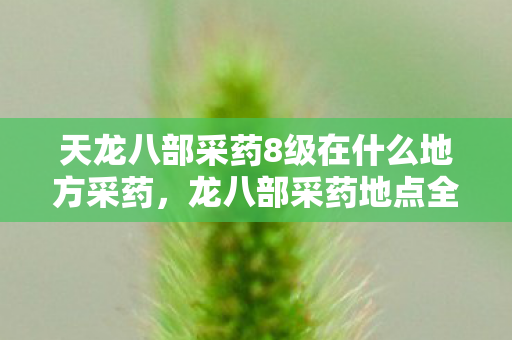 天龙八部采药8级在什么地方采药，龙八部采药地点全解析，探寻游戏中的天然药园