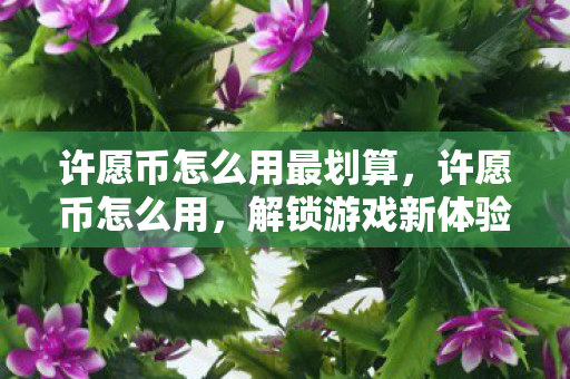 许愿币怎么用最划算,许愿币怎么用,解锁游戏新体验,提升角色实力 许愿币怎么用最划算,许愿币怎么用,解锁游戏新体验,提升角色实力