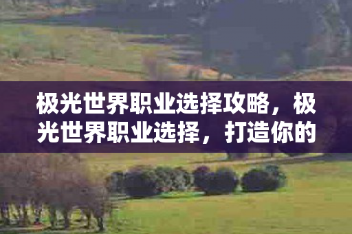 极光世界职业选择攻略，极光世界职业选择，打造你的专属传奇