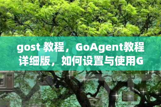 gost 教程，GoAgent教程详细版，如何设置与使用GoAgent代理