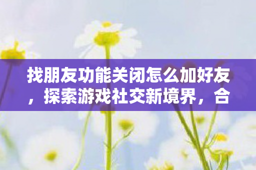 找朋友功能关闭怎么加好友，探索游戏社交新境界，合法合规的找朋友功能