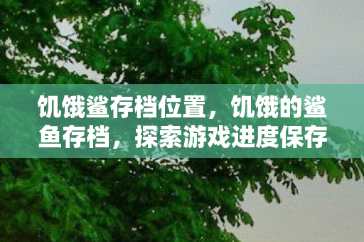 饥饿鲨存档位置，饥饿的鲨鱼存档，探索游戏进度保存的秘密