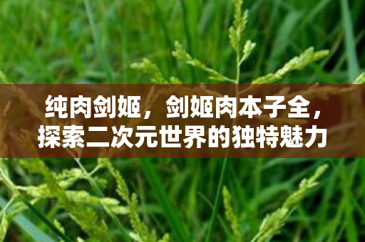 纯肉剑姬，剑姬肉本子全，探索二次元世界的独特魅力