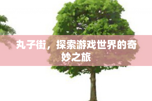 丸子街，探索游戏世界的奇妙之旅