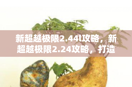 新超越极限2.44l攻略，新超越极限2.24攻略，打造顶级角色的全面指南