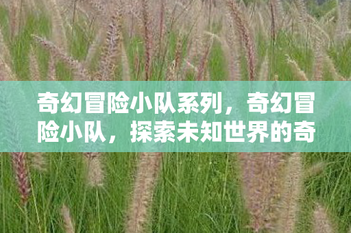奇幻冒险小队系列，奇幻冒险小队，探索未知世界的奇幻之旅