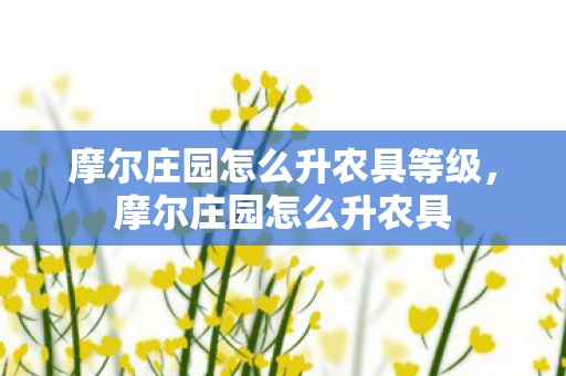 摩尔庄园怎么升农具等级，摩尔庄园怎么升农具