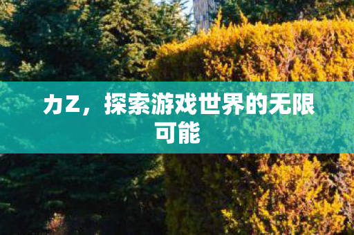 カZ，探索游戏世界的无限可能
