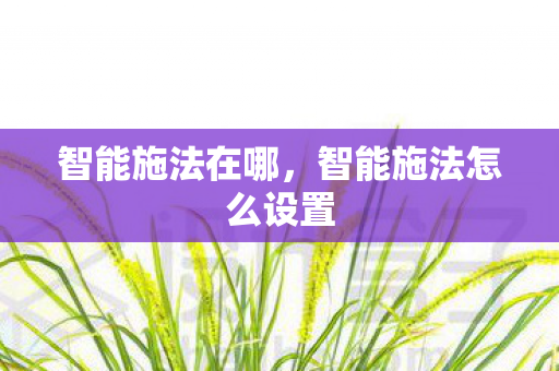 智能施法在哪，智能施法怎么设置