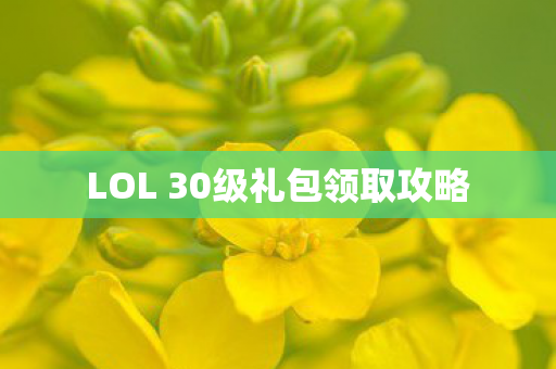 LOL 30级礼包领取攻略 LOL 30级礼包领取攻略