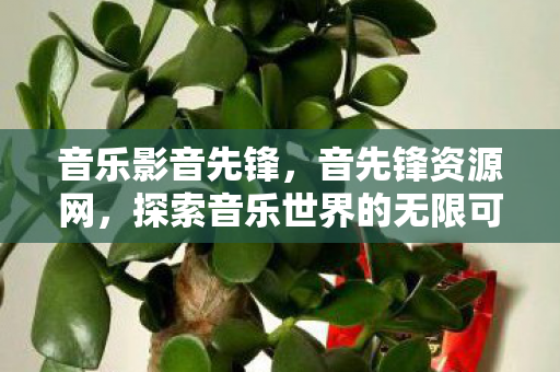 音乐影音先锋，音先锋资源网，探索音乐世界的无限可能