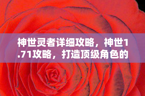 神世灵者详细攻略，神世1.71攻略，打造顶级角色的全面指南