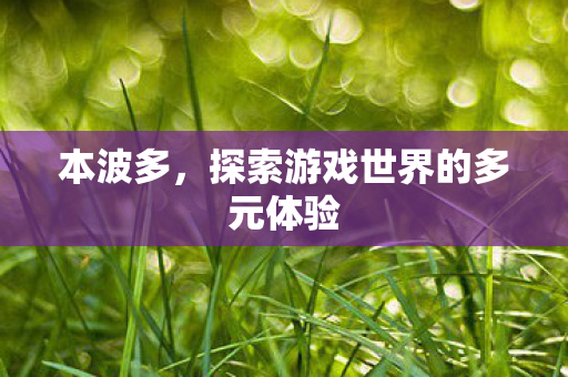 本波多，探索游戏世界的多元体验