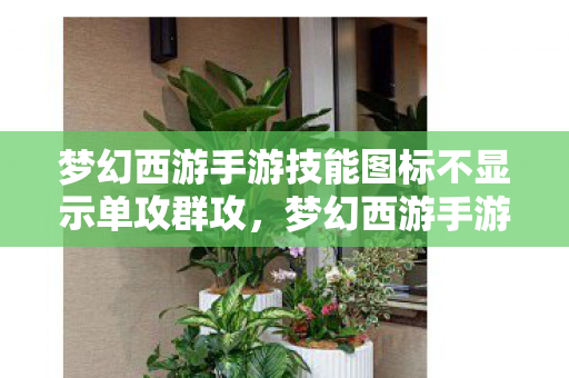 梦幻西游手游技能图标不显示单攻群攻，梦幻西游手游技能图标，探索游戏中的策略与魅力