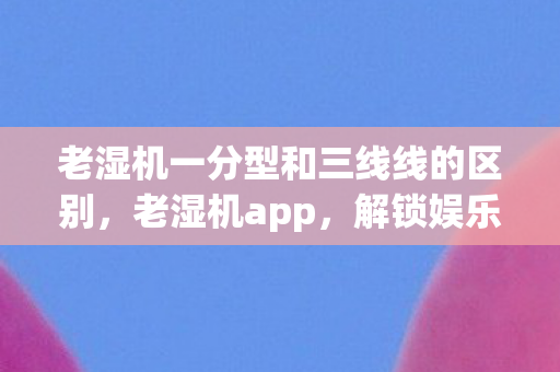 老湿机一分型和三线线的区别，老湿机app，解锁娱乐新体验，尽享高清影视盛宴