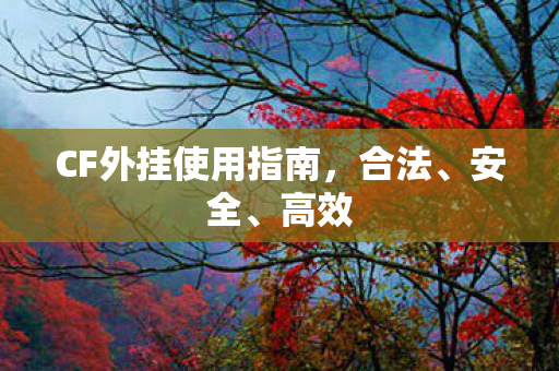CF外挂使用指南，合法、安全、高效